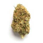 Rainband Marijuana Strain