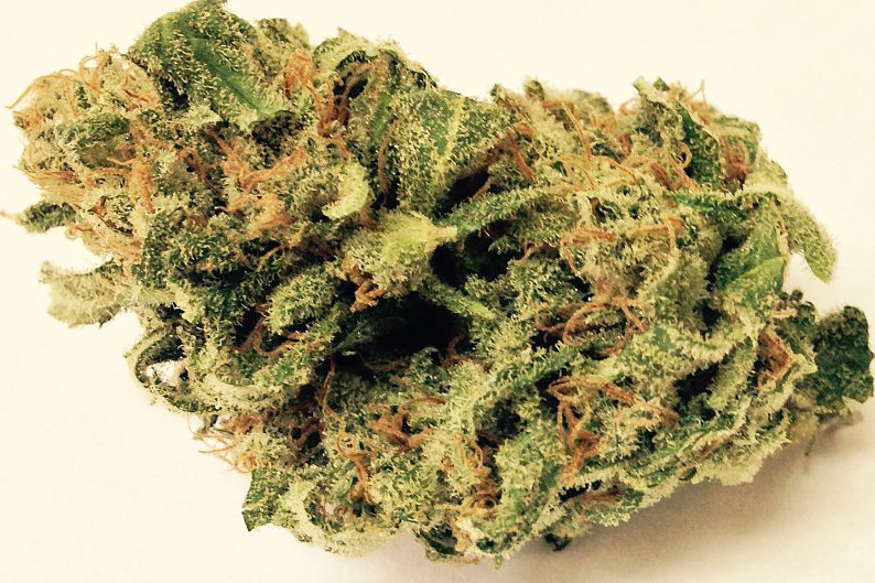 Sch’Lemon Cake Marijuana Strain