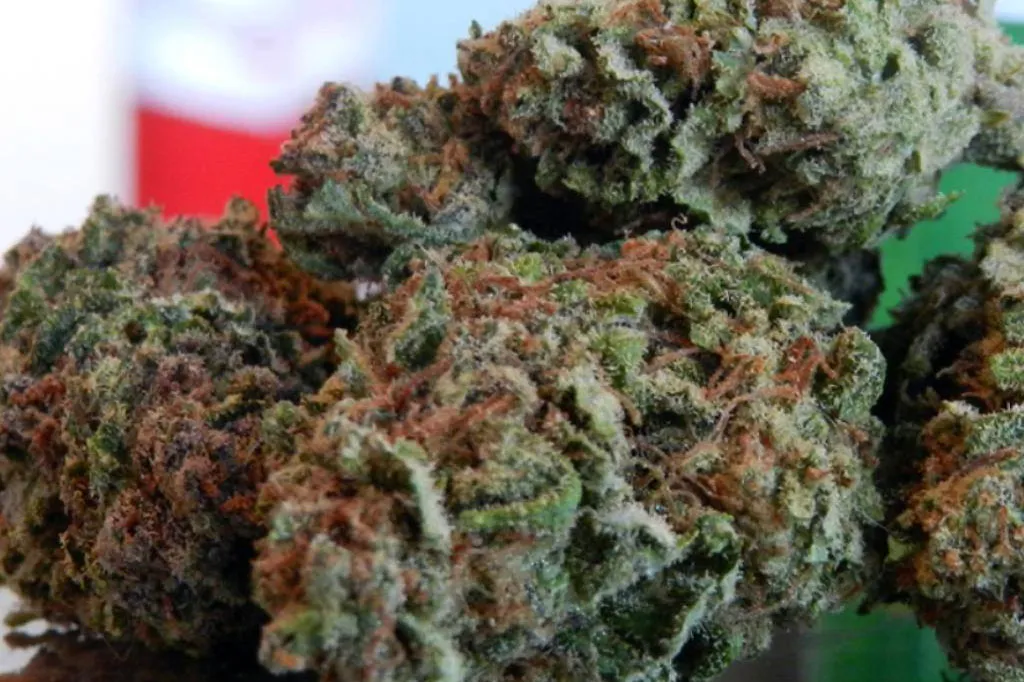 Unicorn Pie Marijuana Strain